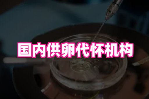 东莞助孕网站 3