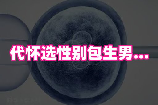 东莞助孕网站 4
